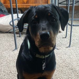 Meet your Posher, Barbara